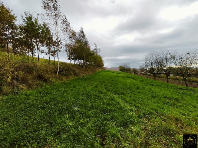 Działka Trepcza gm. Sanok