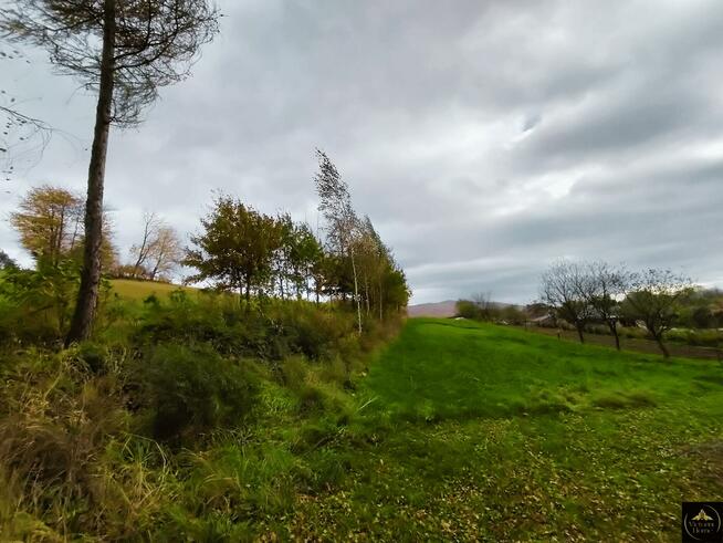 Działka Trepcza gm. Sanok