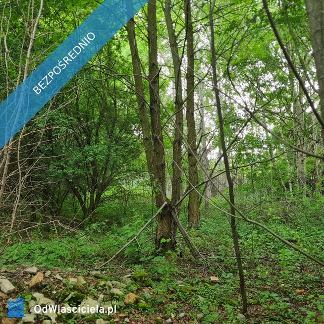 Działka Rzgów Gospodarz ul. Kwiatowa 1520 m2