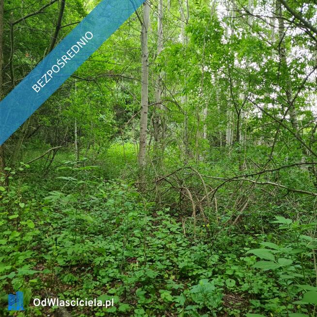 Działka Rzgów Gospodarz ul. Kwiatowa 1520 m2