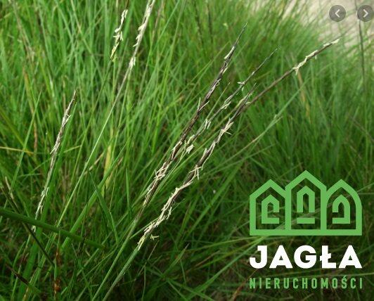 Działka usługowa Bydgoszcz Łęgnowo