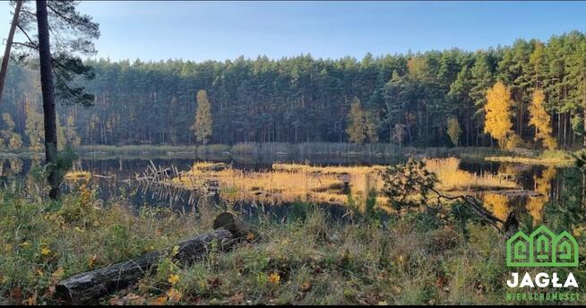 Działka rekreacyjna Wiele gm. Karsin