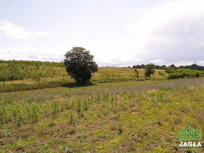 Działka budowlana Kcynia Józefkowo