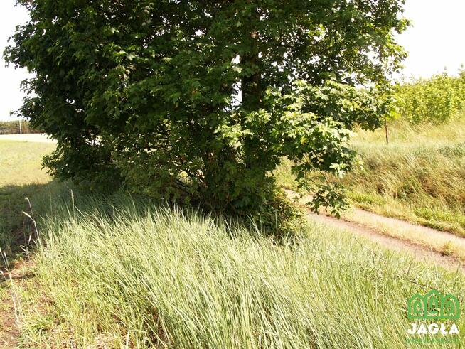 Działka budowlana Kcynia Józefkowo