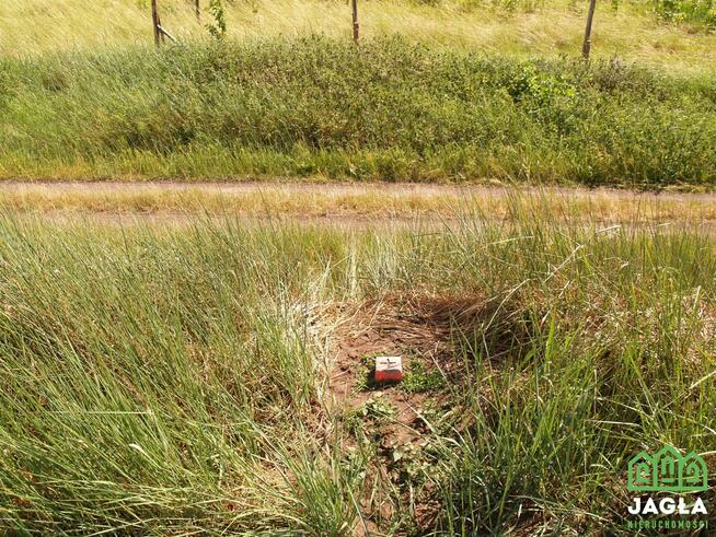 Działka budowlana Kcynia Józefkowo