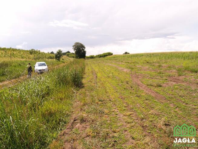 Działka budowlana Kcynia Józefkowo