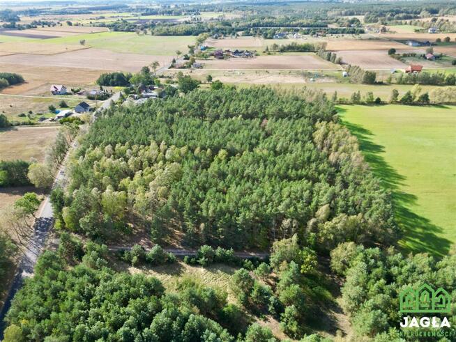 Działka siedliskowa Nowa Wioska gm. Nowa Wieś Wielka