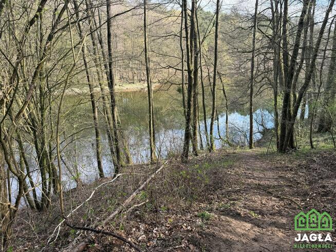 Działka inwestycyjna Tryszczyn gm. Koronowo, Nad Kanałem