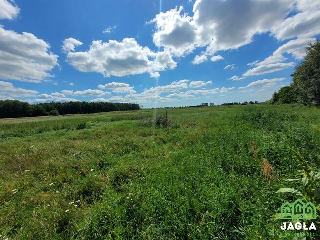 Działka budowlana Kruszyn Krajeński gm. Białe Błota
