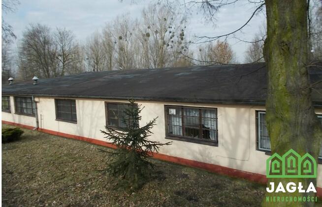 Lokal użytkowy Kcynia Kcynia