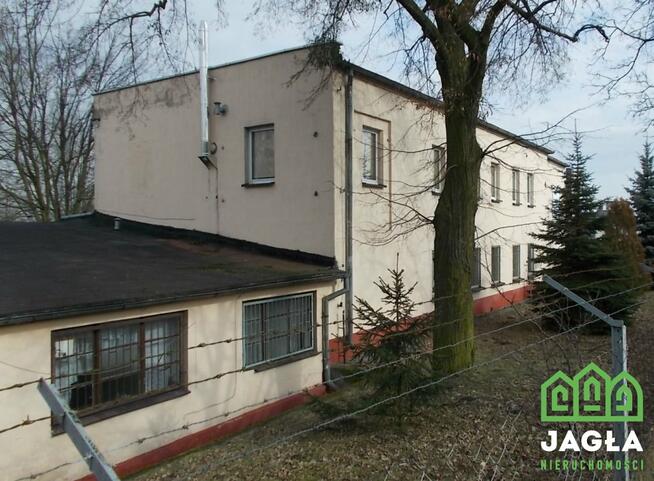 Lokal użytkowy Kcynia Kcynia