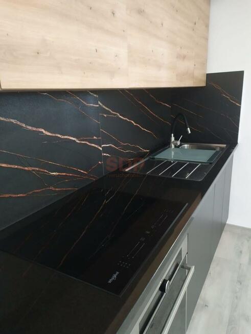 Mieszkanie Katowice, Mieszka I