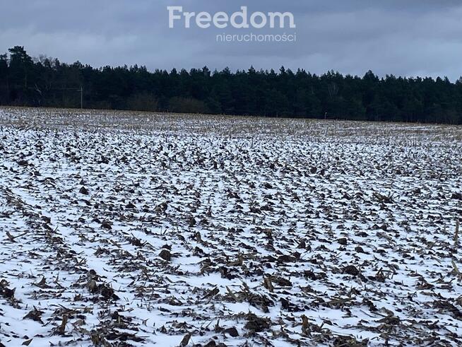 Działka z warunkami zabudowy w Suchatówce