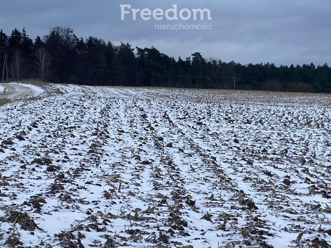 Działka z warunkami zabudowy w Suchatówce