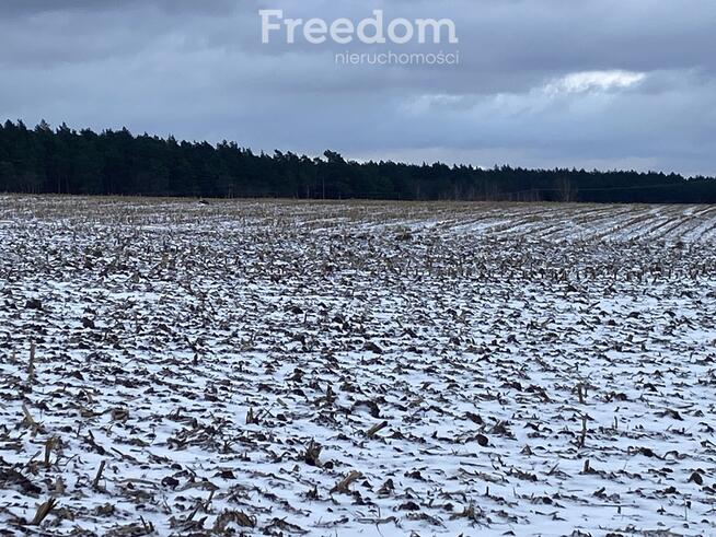 Działka z warunkami zabudowy w Suchatówce