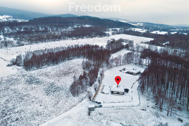 Dom do wynajęcia w górach!