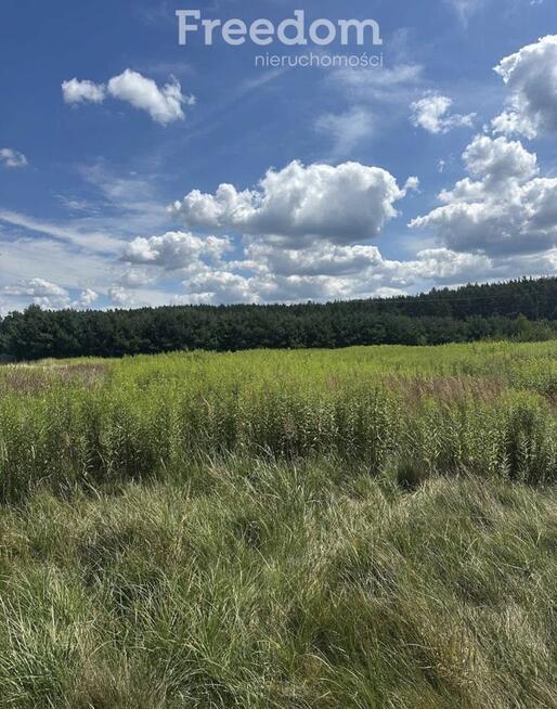 Działka budowlana 1175 m² blisko lasu. Murów