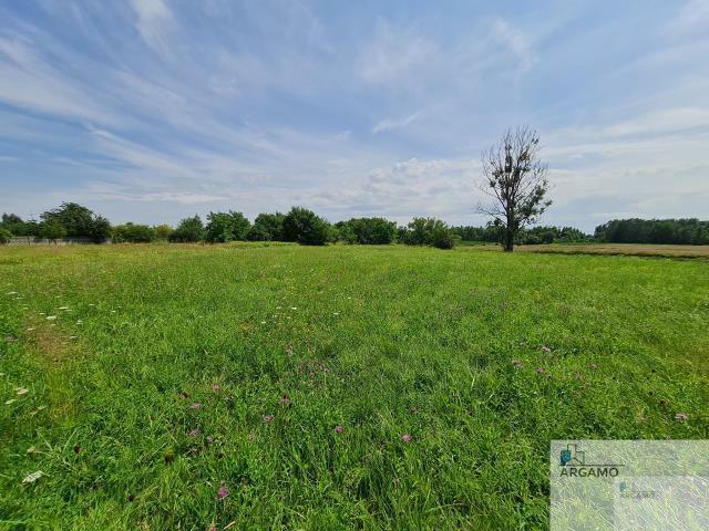 Działka budowlana Adamów Drwalewski gm. Chynów