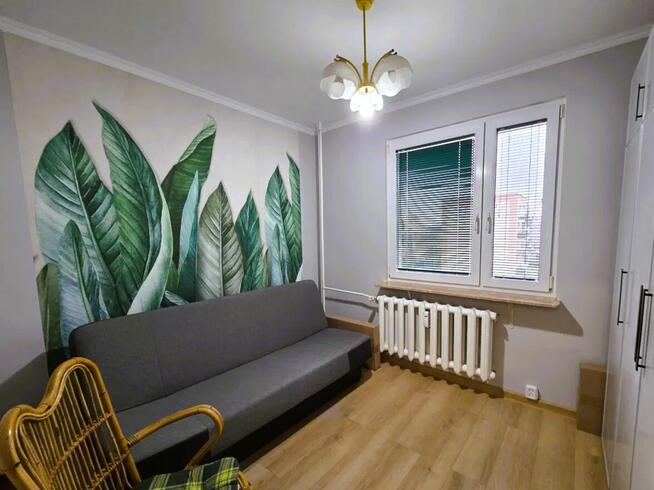 Mieszkanie po remoncie 63m2 | 3 pokoje, loggia | Żyrardów