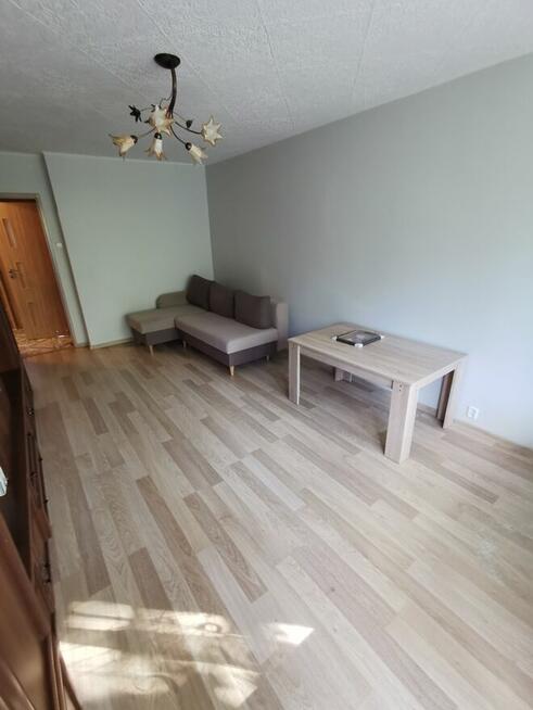 Wynajmę mieszkanie CZECHÓW