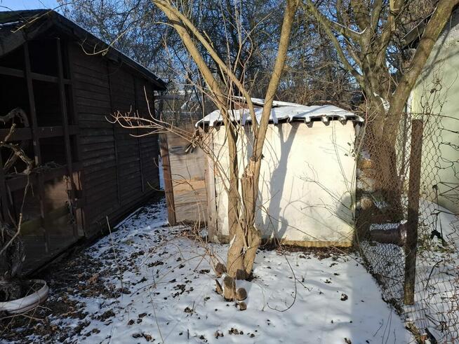 ogródek działkowy R.O.D. Arenda Gliwice