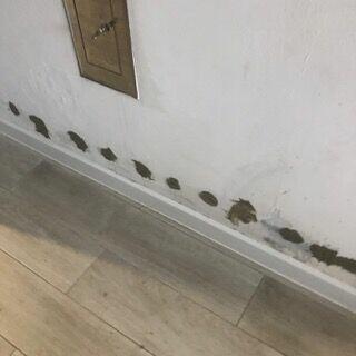 Iniekcja Krystaliczna podciąganie kapilarne wilgoć ściany