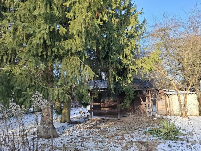 ogródek działkowy R.O.D. Arenda Gliwice