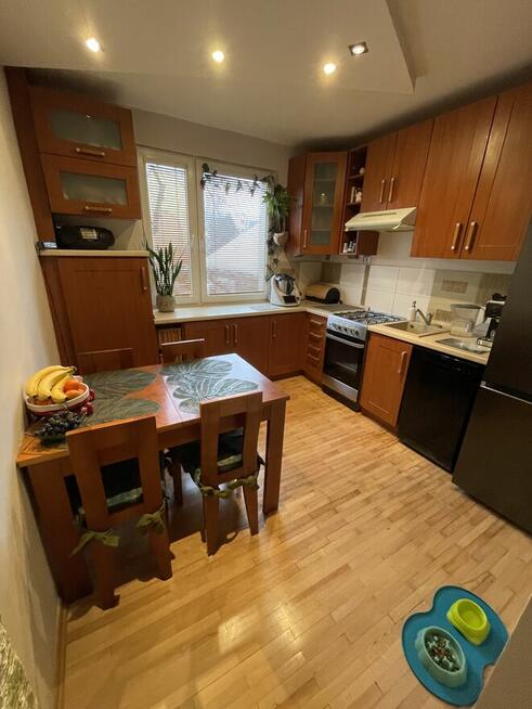 3-pokojowe mieszkanie z widokiem na zieleń, parter - Wośniki