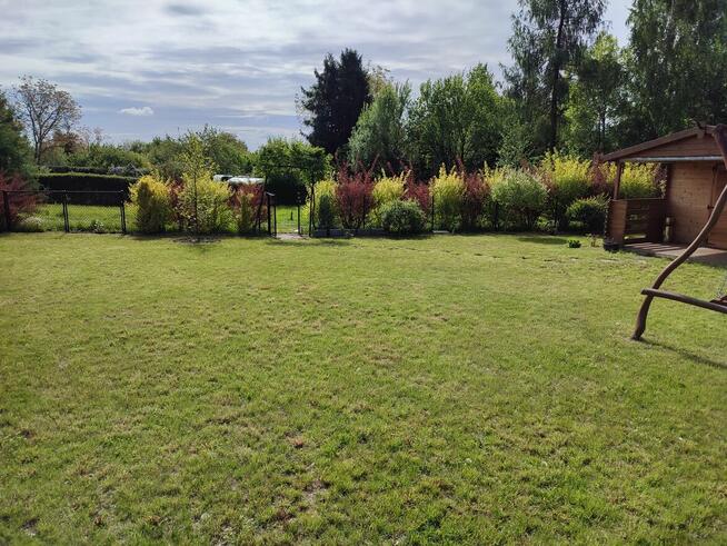 Działka z domkiem ROD Narcyz w Kielcach.