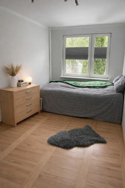 3-pokojowe mieszkanie z widokiem na zieleń, parter - Wośniki