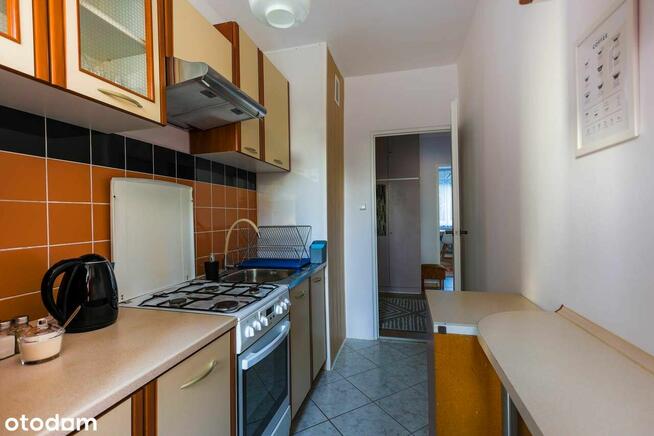 mieszkanie 2 - pokojowe na wynajem