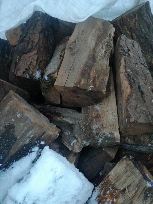 Sprzedam drzewo Buk Dab