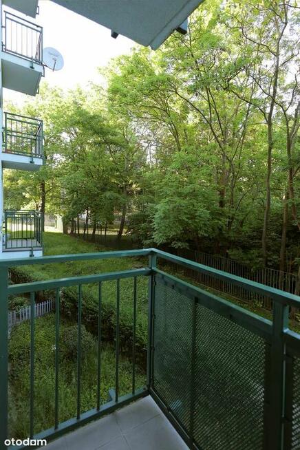 mieszkanie 2 - pokojowe na wynajem