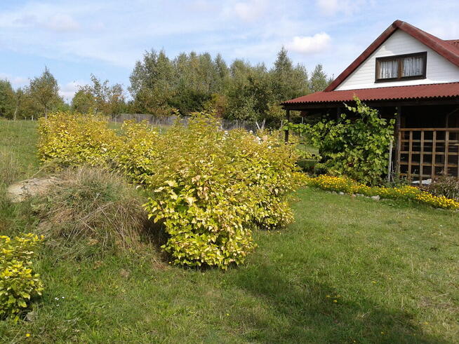 Kaszuby. Działka budowlana. Warunki Zabudowy.
