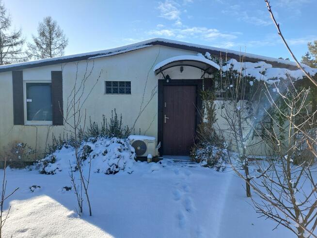 Dwa domki letniskowe nad jeziorem Sosny