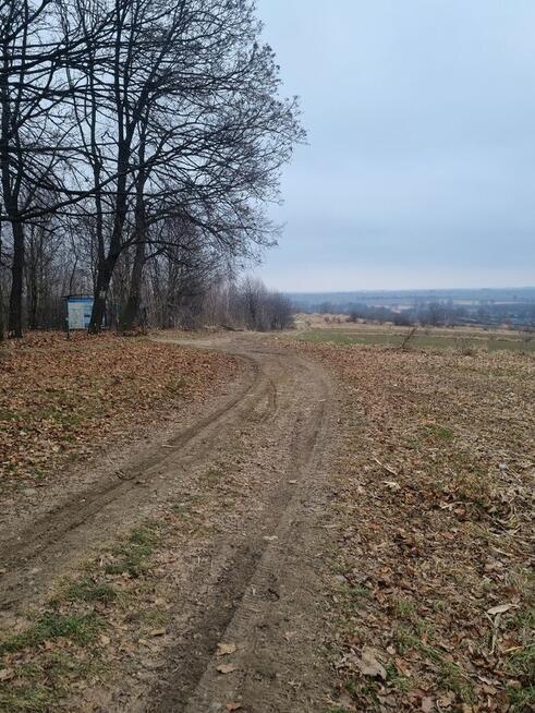 Działki budowlane Strzelin Gościęcice