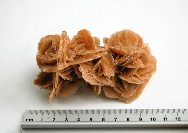 Róża pustyni, kamień, Sahara, 10 cm.