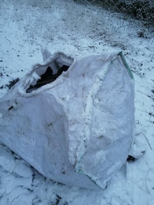 Sprzedam drzewo Buk Dab