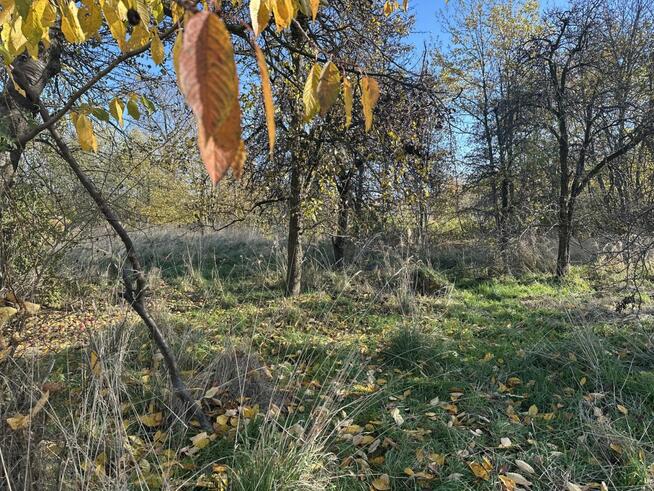 Działka rolna Sobótka Strzeblów, Marii Skłodowskiej-Curie