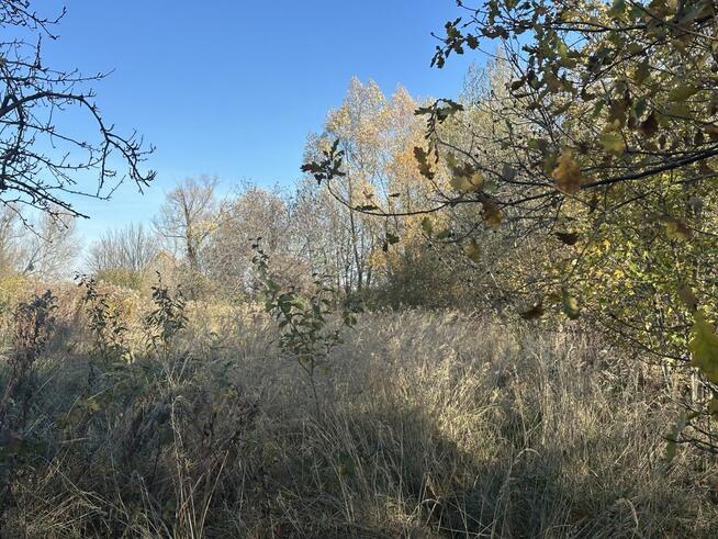 Działka rolna Sobótka Strzeblów, Marii Skłodowskiej-Curie