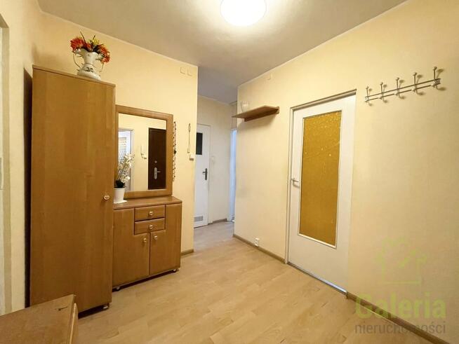 Wynajem, 3 pokoje przy Uniwersytecie, Gumieńce