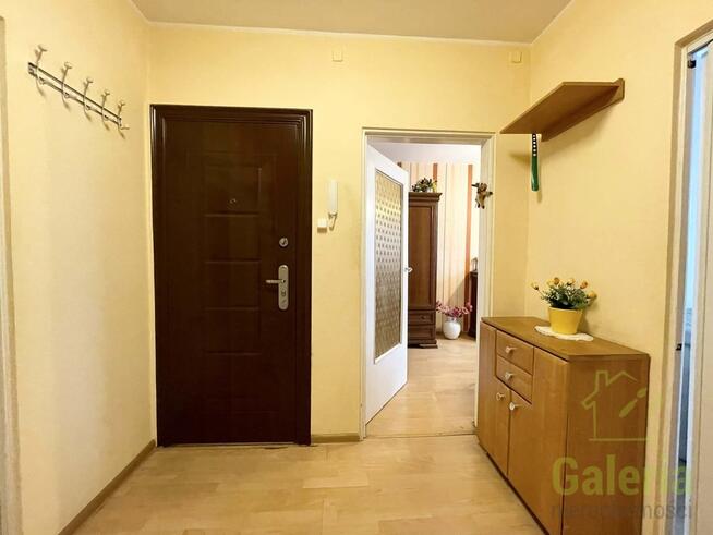 Wynajem, 3 pokoje przy Uniwersytecie, Gumieńce