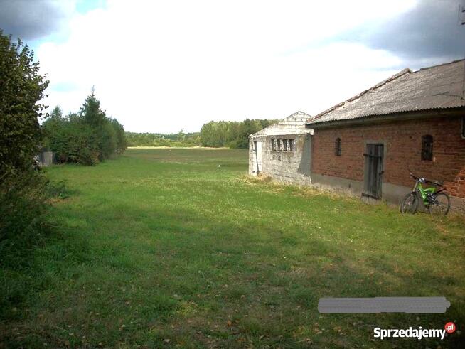 Sprzedam działkę siedliskową z zabudowaniami