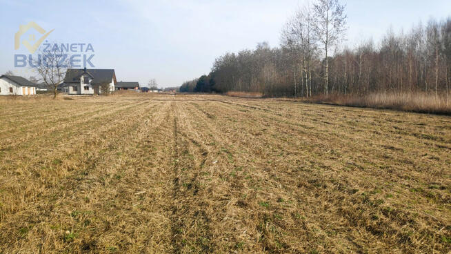 Działka budowlana Adamowa Góra gm. Młodzieszyn,