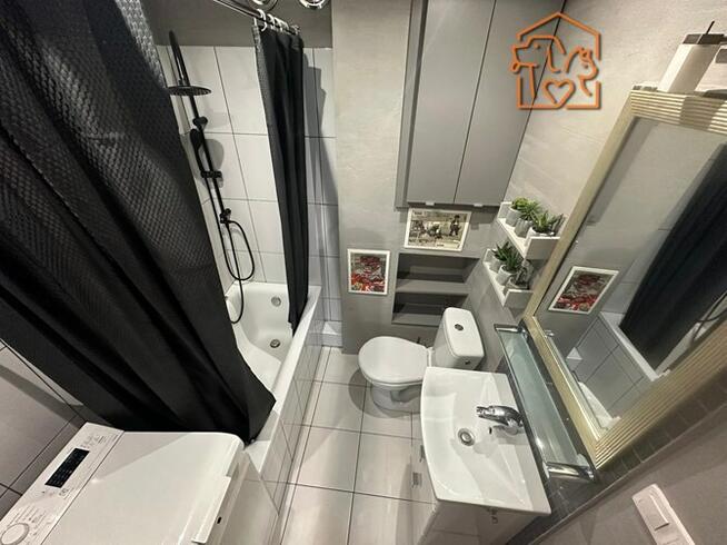 Garbarska 31, Centrum, kawalerka pet friendly