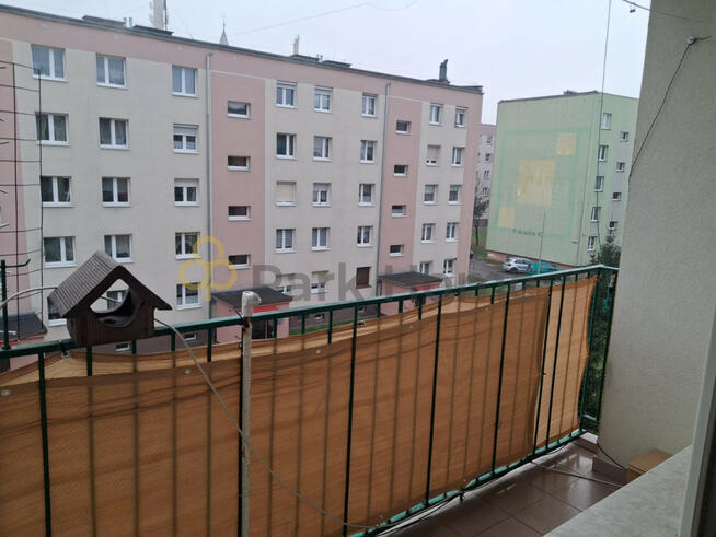 Mieszkanie Gozdnica,