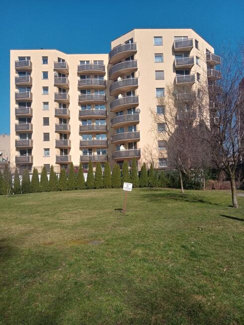 Kawalerka w centrum Gliwic