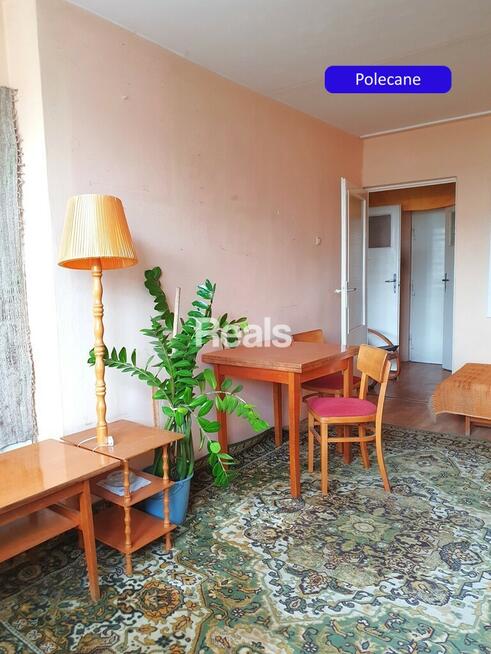 2POK.BLISKO PARKU I WUM