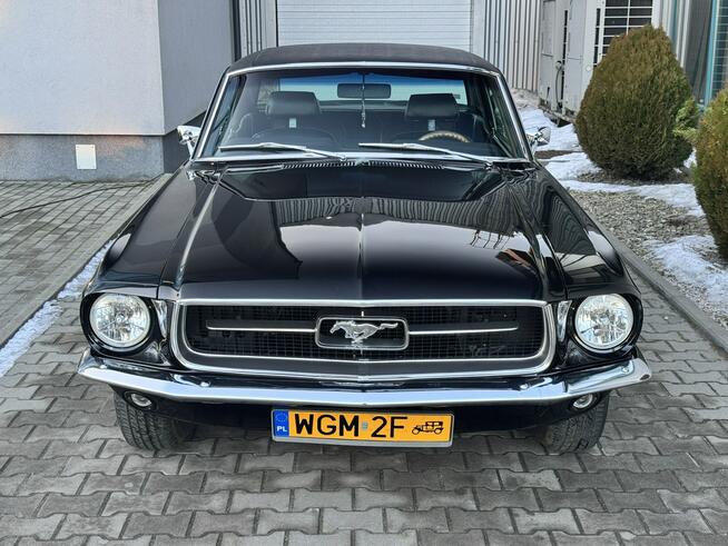 Ford Mustang GT coupe, V8 289ci 4.7l. Po odrestaurowaniu.