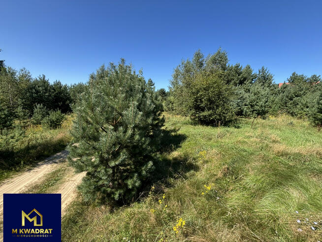 Działka budowlana Bojano gm. Szemud, Bukowa